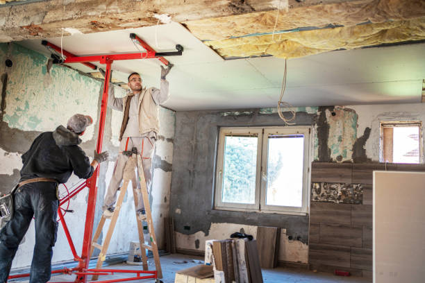 Best Insulation Installation Services in Scottsville, KY