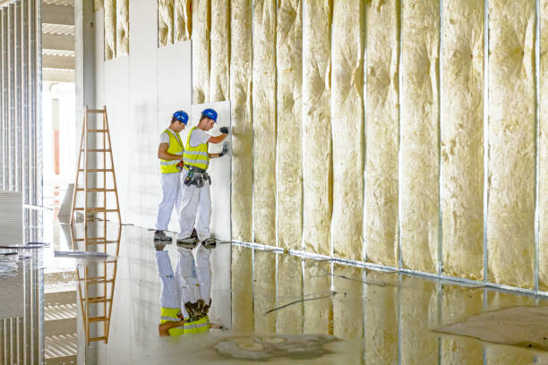 Best Residential Insulation in Scottsville, KY